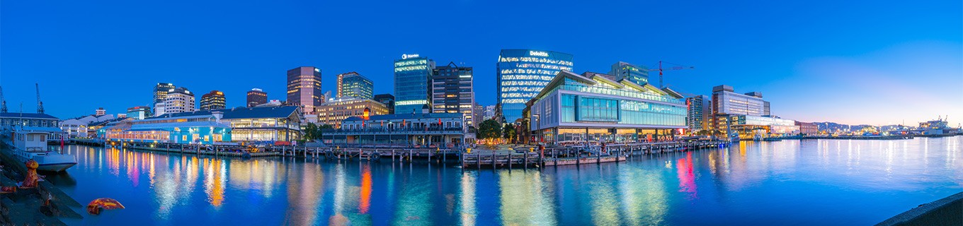 NZ - domena