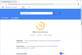 Civcav.si - PageSpeed Insights po prenosu
