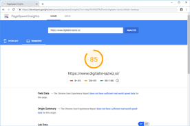 Digitalni-razrez - PageSpeed Insights po optimizaciji