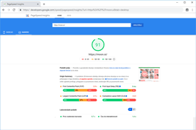 Moon.si - PageSpeed Insights po optimizaciji