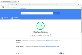 Pawtlet.com - PageSpeed Insights po optimizaciji