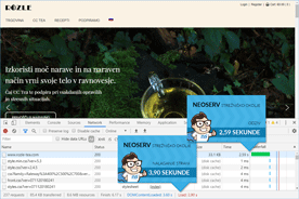 Rozle-tea.com - DevTools pred optimizacijo