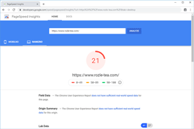 Rozle-tea.com - PageSpeed Insights pred optimizacijo