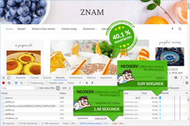 Znam.si - DevTools po optimizaciji